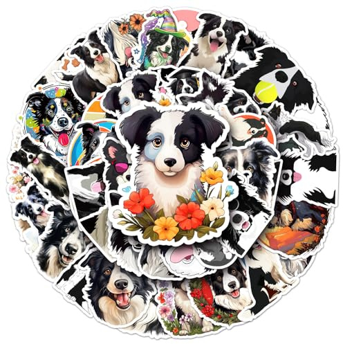 Pegatinas Border Collie para laptop (50 unidades), regalo para niños, adolescentes, adultos, niñas, niños, calcomanías impermeables para botella de agua, calcomanías de vinilo Border Collie para