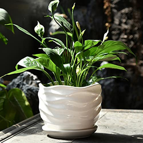 Pot de Fleurs en Céramique Grand Pot de Fleurs d'intérieur avec Plateau Circulaire Chlorophytum créatif Simple Viande de Carotte Verte Pot de Fleurs de Table Vert d'intérieur