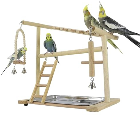 Vogelspielständer - Vogelspielplatz | -Spielständer Mit Sitzstangen, Laufstallleiter Mit Futternäpfen, Sittichkäfig-Spielen, Papageiensitzstangenhalter Für Nymphensittiche, Hängendes Schaukel