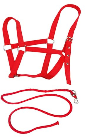 KiBcsLic Cabestro con, Accesorios de Equitación, Cabezada, Arnés para Caballos para Deportes Ecuestres, Rojo