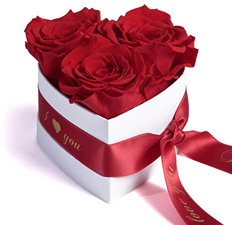 Rosemarie Schulz Heidelberg Infinity Rosenbox Herz 3 Konservierte Rosen in Box - Haltbar 3 Jahre 10x12cm - Liebeserklärung Herz Geschenke für Frauen Valentinstag und Frauentag (I Love You, Rot)