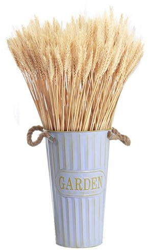 Worldly 100pcs Espigas de Trigo secadas naturalmente Flores secas Naturales, Flores de Trigo secas, para Chimenea, hogar, Cocina, Mesa de Iglesia, Boda,40cm（Blanco）