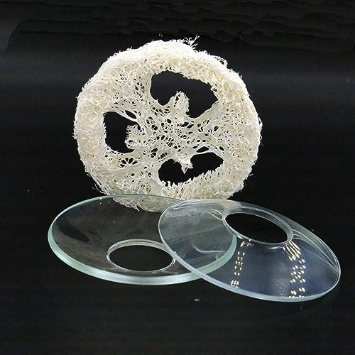 2-Pack Candle Ring Tempered Glass Bobeches for 7/8 Candle Wax Drip Catcher Candle Drip Guard with A Clean Loofah