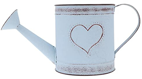 DOITOOL Arrosoir en Fer en Forme De Décoration Pot D'arrosage Antique Vase De Seau Pot De Fleurs Décoration De Vase