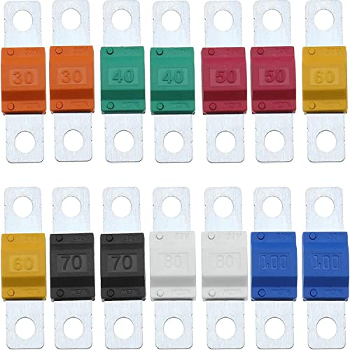 Midi Schraubsicherung Hochstromsicherung 30A-80A,100A Ampere bis 32V DC, 32V Kfz Sicherung Bolt-on Sicherung für Marine-Energiesystem Elektrisches Hybridfahrzeug Autoradio Gleichstrommotor, 14Stück