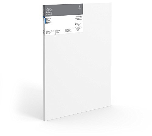 Winsor & Newton Professional Cotton Canvas, 22 x 28