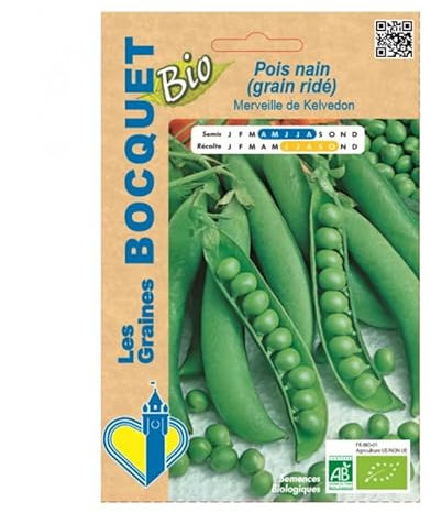 Sachet de graines de Pois Nain Merveille De Kelvedon - Bio- Certifiées ECOCERT FR-BIO-01-100g - Les GRaines Bocquet