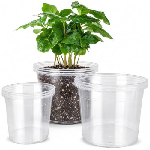 DUNPUTE 15,2 x 20,3 cm große transparente Anzuchttöpfe mit Drainage, 12 Stück Kunststofftöpfe für Pflanzen, ideale Sämling-Töpfe und Blumentöpfe für Gemüse, Orchideen, Aloe, Innen- und Außenbereich