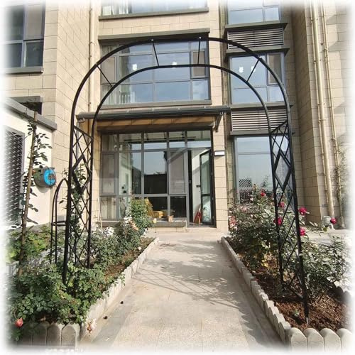 Arche de jardin en métal pour plantes grimpantes - Treillis décoratif pour pergola et vigne - 260 x 230 cm (l x H) - Finition noire