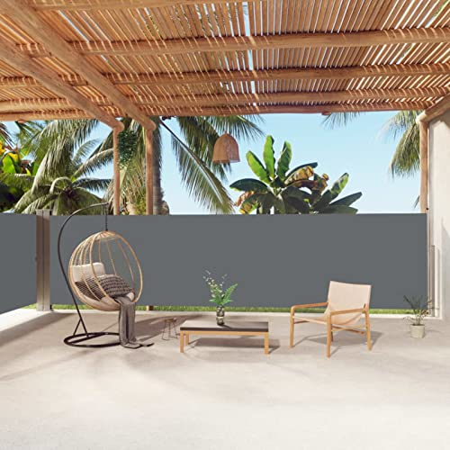Yolola Doppel Seitenmarkise Ausziehbar 160 x 1000 cm seitenmarkise sichtschutz terrasse Balkon seitenmarkise,Seitenrollo, für Balkon, Terrasse und Garten-Anthrazit-160 x 1000 cm