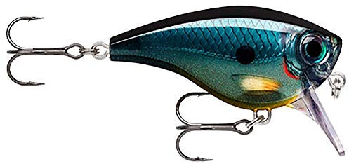 Rapala - BX Brat Big Angelköder - Angelzubehör aus Balsaholz - Süßwasser Spinnköder - Hergestellt in Estland - Lauftiefe 1.9 bis 2.4m - Fischköder 7cm, 21g - Carbon