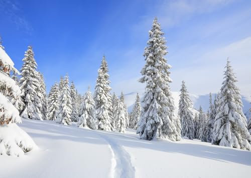 CORFOTO 1.8x1.2m Schneeberg Kulisse Schneebedeckter Kiefernwald Fotografie Kulisse Winter Schneeflocke Natur Landschaft Hintergrund Weihnachtsdorf Dekor Weihnachtsparty Fotokabine