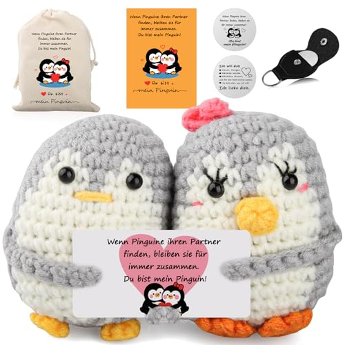 WDJLNZB Positive Pinguin Geschenke für Partner, Pocket Hug Pinguine Kuscheltier mit Schlüsselanhänger und Karte, Kreative Strickwolle Penguin Puppe, Ich Liebe Dich Hochzeitstag Jahrestag Geschenk (A)
