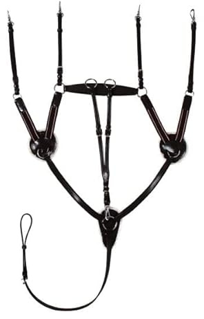 Start 5-Punkt Vorderzeug aus Leder für Pferde – mit abnehmbarem Martingal, elastisch, mit Schaffell, einstellbar – Warmblut, Vollblut, Kaltblut – Edelstahl-Beschläge (Full (Warmblut), Schwarz)