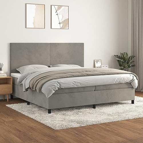 CKioict Palettenbett Modernes Bettgestell Jugendbett Boxspringbett mit Matratze Hellgrau 200x200 cm SamtGeeignet für Arbeitszimmer, Wohnzimmer, Hotel