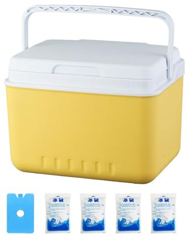 6L Cooler Box - Insulated Cool Box With 4 Ice Packs & 1 Ice Box Insulated Picnic Box Leak Proof Lightweight Cooler Outdoor Camping Freezer Box Ice Cooler Box For Travel Picnic Camping