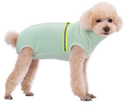 BT Bear Kleiner Hundepullover, weiches Fleece mit reflektierender Weste, Hunde-Sweatshirt, Welpen-Winterkleidung, warme Jacke, Mantel, Kleidung (Mintgrün, M)
