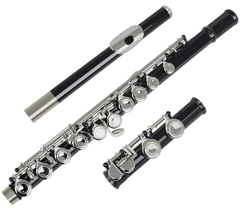 Flauta Travesera Instrumento Flauta de concierto de latón con llave C negra, instrumento de viento de madera con 16 agujeros, con caja de cuero
