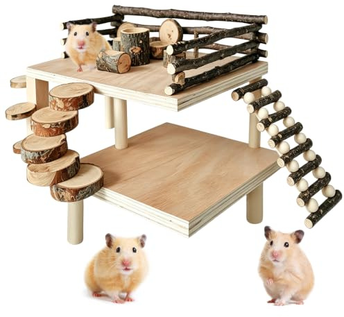 Jouet Hamster, Maison en Bois pour Hamster DIY, Plateforme avec Échelle et Barrière de Sécurité, Aire de Jeu Escalade pour Hamsters, Dimensions 47×34×22 cm