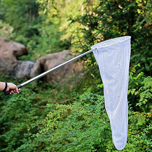 Retino telescopico per farfalle, rete da pesca pieghevole per catturare insetti e insetti, manico in acciaio inox, si estende da 38 cm a 150 cm