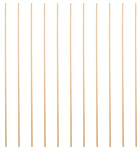 Gogogmee 10PCS Kite Making Materials: Bamboo Craft Dowels - 6mmx60cmx2mm Frame Sticks - Construction Poles Accessories for Homemade Kites Birdcage Crafts