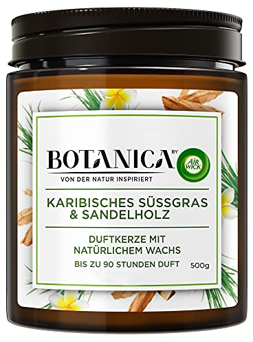 Botanica by Air Wick Duftkerze – Duft: Süßgras & Sandelholz – Nachhaltig hergestellt mit natürlichen Inhaltsstoffen – 500 g Kerze im Glas, 3185467, Braun