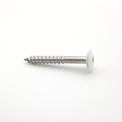 Schrauben für Fassadenplatten, 4,8 x 38 mm, RAL 9010, reinweiß, Edelstahl A2 x 200