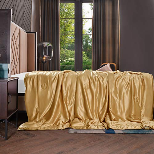 THXSILK Kuscheldecke Seide Sofa Decken Gold - Kleine Seidendecke für Couch weich und warm, Innen und außen 100% Seide Wohndecke Flauschig als Sofadecke Couchdecke 135 x 180 cm