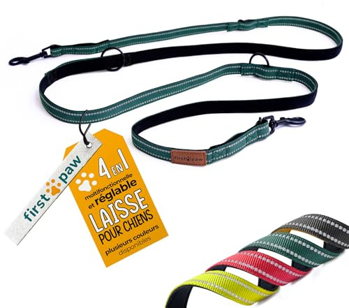 FIRSTPAW Laisse pour Chiens de Petite, Moyenne et Grande Taille - 2 Mètres de Long, Vert, Multifonctionnelle, Rembourrée et Confortable, Réglable Double Laisse pour Deux Chiens