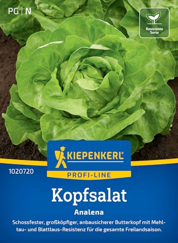 Kiepenkerl Kopfsalatsamen Analena 1020720, Gemüsesaat | Salatsamen für einen schossfesten und großköpfigen Kopfsalat, Inhalt für 120 Pflanzen