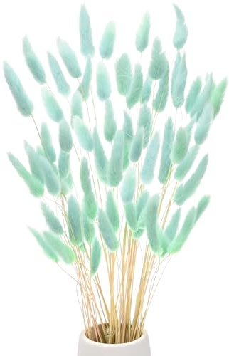 M METERXITY 60er-Pack Hasenschwanzgras 17 Zoll Flauschiges Kaninchen-Schwanzgras Getrocknete Blumen Zweige Vasenfüller Getrocknete für Zuhause/Hochzeit/Vase/Büro/Party [Blau]