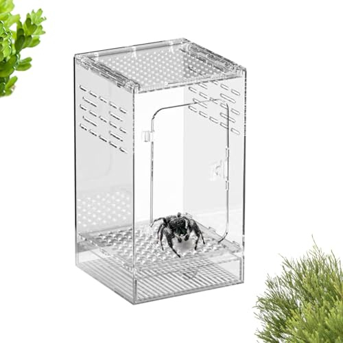 per recinzione per saltatori - Terrario per rettili ventilato, terrario per insetti, habitat trasparente per coleotteri | Adatto per lucertole, gechi, grilli, scorpioni, coleotteri, re