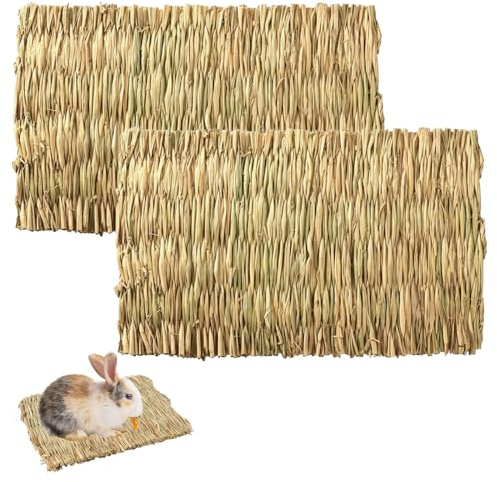 PHYNDR Tapis en Herbe pour Lapins 2 Pièces 28 x 20 cm, Natte Naturelle pour Cage et Enclos, Tapis à Ronger et Zone de Repos pour Lapin Nain, Cobaye et Petits Animaux