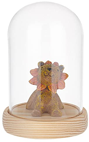 PH PandaHall Cloche di Vetro Campana Espositore Cupola con Base In Legno Decorazione In Vetro Bottiglie per Piante Esposizione di Fiori Argilla Piante Grasse Conservazione Casa Festa 7.8x9.1 cm