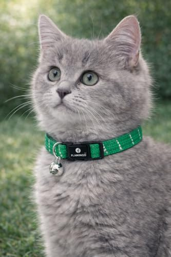 Collar Gato - Gatito Elza Verde 15–22 cm – Nylon elástico Reflectante con Cascabel