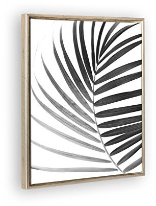 Bildershop-24 Schattenfugenrahmen Set Lemgo Silber Antik mit Keilrahmen Leinwand Bild Druck Motiv: Palmenblatt 2 61x91cm