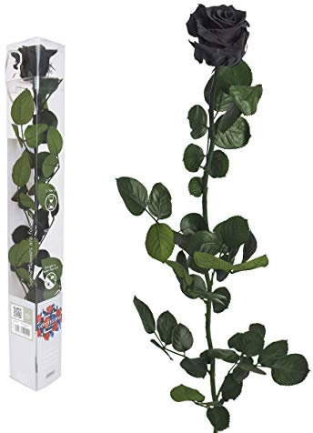 Interflowers GmbH Ewige Rose - 50cm Schwarz - Echte Rosen, gefriergetrocknet, Infinity Blumen mit Stiel und Blättern - Heiratsantrag Deko, Infinity Rosen, Ewig blühende Rose