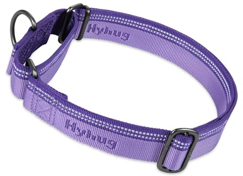 Hyhug Nylon Klassische Halsbänder ，Anti-Flucht Hundehalsband. 3M Reflektierender Streifen, Komfortabel Verstellbar, Sicherer Nachtspaziergang, Hunde-ID-Tag-Montageloch (Kleine, Paisley Lila)