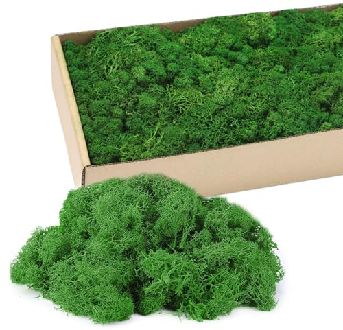 HRKVSK Islandmoos Zum Basteln, 200g Konserviertes Moos, Künstliches Moos, Deko Oder Bastelmaterial für Moosbilder