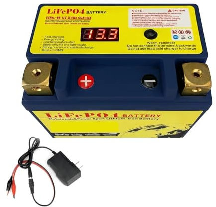 12V Motorcycle Starter Battery LiFePO4 Lithium Iron Phosphate Battery Built-in BMS 8Ah/12Ah CCA 180A-620A compatible with ATV/UTV High efficiency and durability(14L-BS P-N)