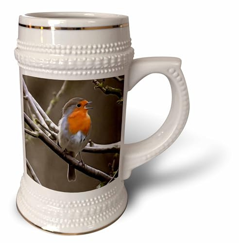 3dRose 22oz Stein Mug - European Robin Red and Grey Painting Acrylic Painting - Robin
