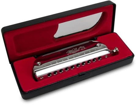 Erwachsene Mundharmonika Chromatische Mundharmonika mit 10 Löchern für Anfänger professionelles Spielinstrument