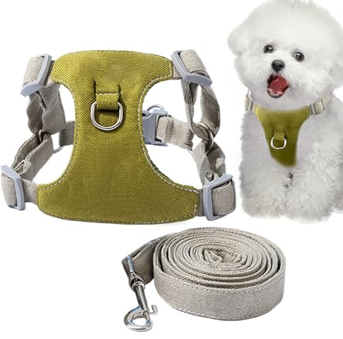 Imbracatura media per cani, imbracatura anti-tiraggio con guinzaglio – Design regolabile con manico per un facile controllo, tessuto Oxford traspirante per passeggiate e allenamento