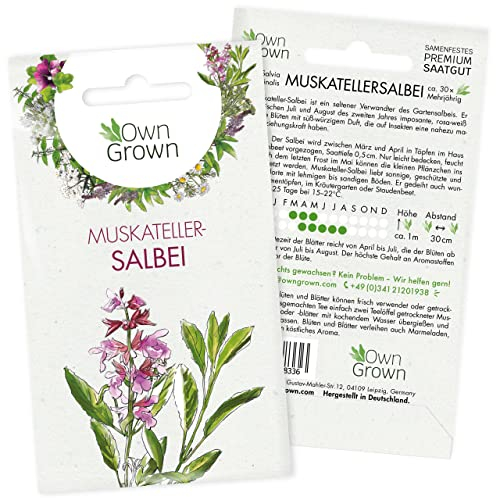 Muskateller Salbei Samen: Salbei Saatgut für die Anzucht von 30 Kräuter Pflanzen – Seltene Samen der Salbei Pflanze für Kräutertee – Kräutersamen für hausgemachten Salbei Tee – OwnGrown Kräuter Samen