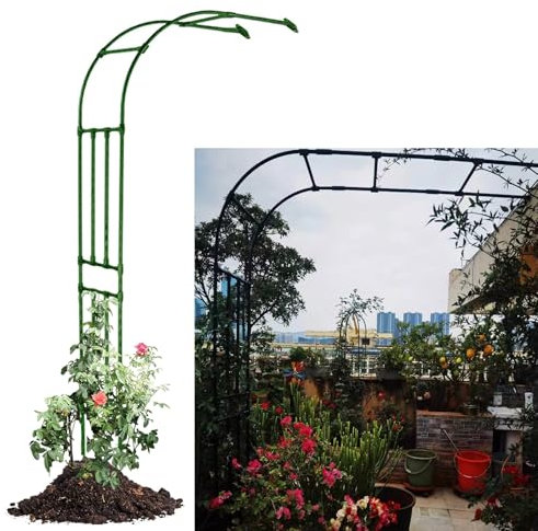 Arche De Jardin En Métal Demi-latérale, Arches De Jardin Métallique pour Plantes Grimpantes, Gazebo D'Arches De Jardin, Arches À Rosiers, Chargement Et Déchargement Faciles(Green,300x240x40cm)