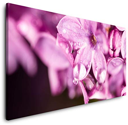 Blumen in pink 120x 60cm Panorama Leinwand Bild XXL Format Wandbilder Wohnzimmer Wohnung Deko Kunstdrucke