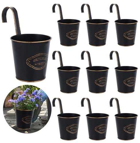 Coolty 10pcs Vintage Metal Flower Pots Iron Wall Planter Hanging Plant Pots for Fence Balcony Garden Planter Home Decor with Detachable Hook (Round)