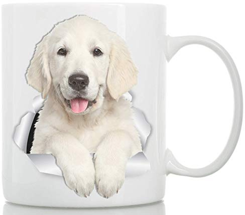 Winston & Bear Taza de Cafe Perro Golden Retriever Hermoso - Ideal para Regalos Divertidos y Personalizados de Cumpleaños - Tazas Originales Baratas para Desayuno y Merienda