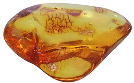 Lebensquelle Plus Beliebte Trommelsteine | Edelstein-Trommelstein + Edelsteinkarte | Größe M: 2-3 cm | Handschmeichler Heilstein Taschenstein (Bernstein)