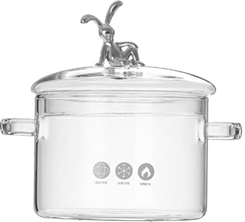 GANAZONO Pentola Borosilicato da Cucina con Coperchio per Stoviglie e Cottura Lenta Perfetta per Zuppe e Brasati Trasparente e